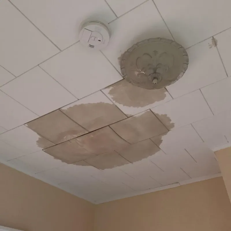 Ceiling Water Damage Repair in West Burlington, IA