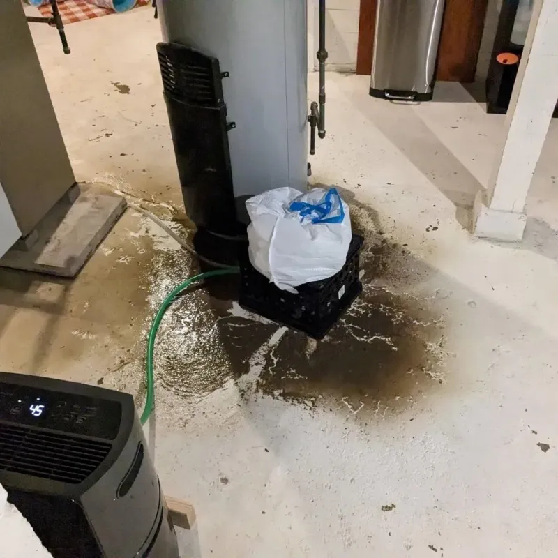 Sewage Backup Cleanup Service in West Burlington, IA